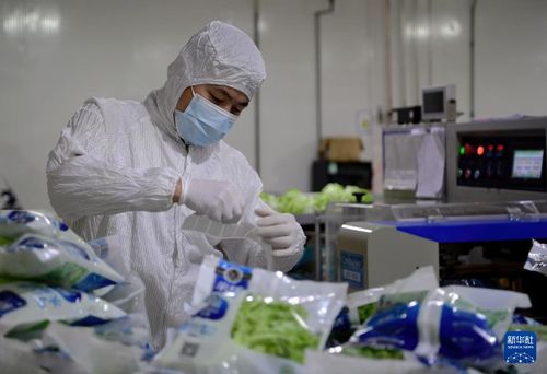 探訪大型無人植物工廠 通信技術(shù)驅(qū)動農(nóng)業(yè)革新