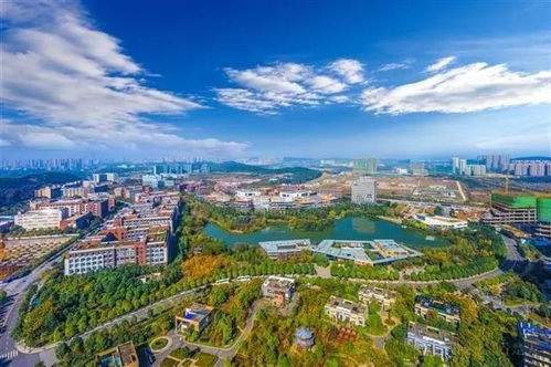 中科招商領(lǐng)銜久久益之星等3機(jī)構(gòu)參與盛齊安定增，打造中國腫瘤治療通信技術(shù)開發(fā)獨(dú)角獸