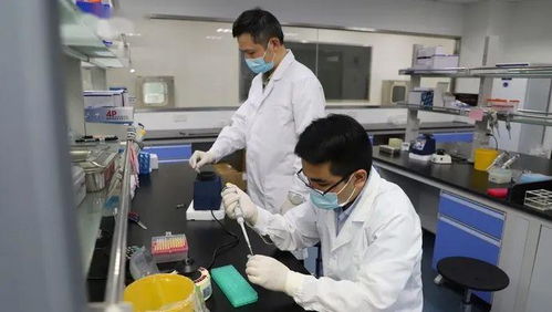 科技抗疫新突破 滬企融合通信技術(shù)，核酸檢測(cè)時(shí)間大幅縮短至1小時(shí)