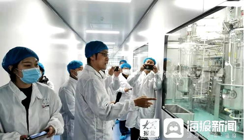 石藥集團(tuán)煙臺(tái)生物醫(yī)藥高科技產(chǎn)業(yè)園 打造全國(guó)最大生物醫(yī)藥產(chǎn)業(yè)化基地，融合通信技術(shù)開發(fā)新動(dòng)能