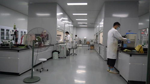 千帆競(jìng)發(fā)浪潮涌 三門以通信技術(shù)開發(fā)為抓手，全力打造接滬融甬先行區(qū)